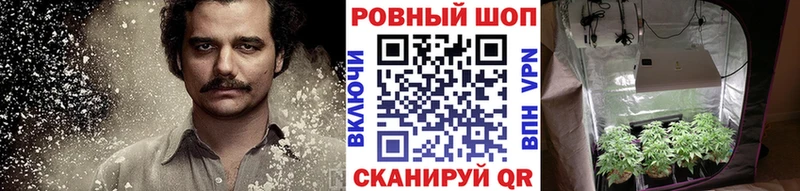 Названия наркотиков Новоуральск COCAIN  МАРИХУАНА  Псилоцибиновые грибы  Гашиш  МЕФ 