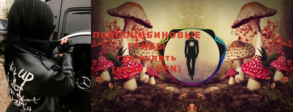 твердый Алексин