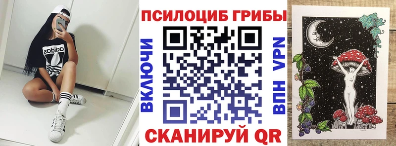 наркотики  Новоуральск  Галлюциногенные грибы MAGIC MUSHROOMS 