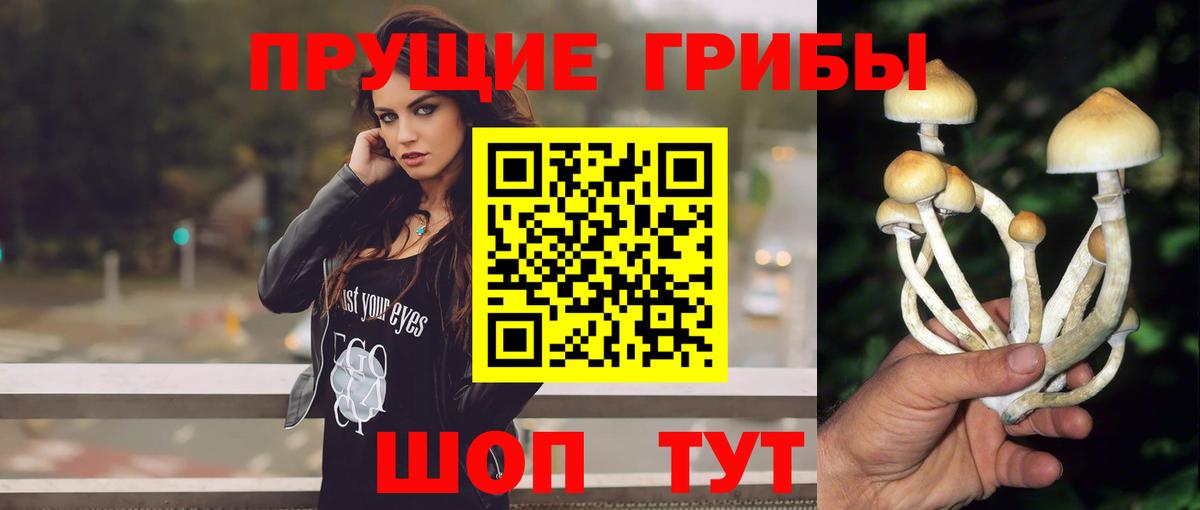 Псилоцибиновые грибы GOLDEN TEACHER Новоуральск